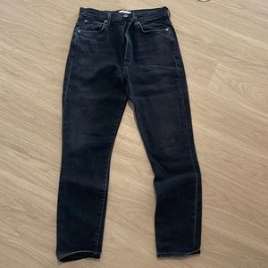 Agolde High Rise Pinch Waist